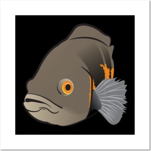 oscar tiger fish Posters and Art